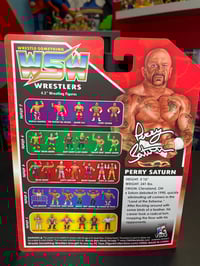 Image 3 of IN STOCK: ERROR PERRY SATURN 4.5 INCH RETRO WRESTLE-SOMETHING WRESTLERS SERIES 5 FIGURE BY FC TOYS