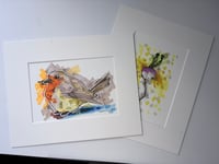 Image 2 of Robin Illustration