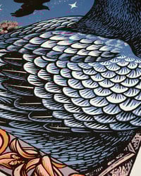 Image 3 of Steve Gunn | 50x70 cm Screen print