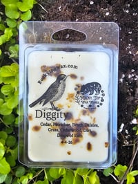 Image 3 of Diggity- A Rockytop Wax Works exclusive custom houseblend fragrance 