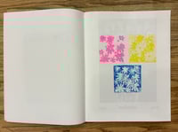 Image 3 of Flowers from the Hyperuranion – Daria Tommasi – Oreri