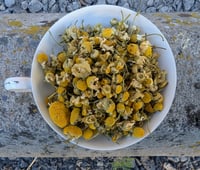 Chamomile flowers: bulk herbs & flowers