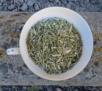 Catnip aka Catmint : bulk herbs 
