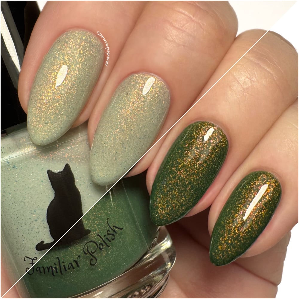 Image of The Cottage 