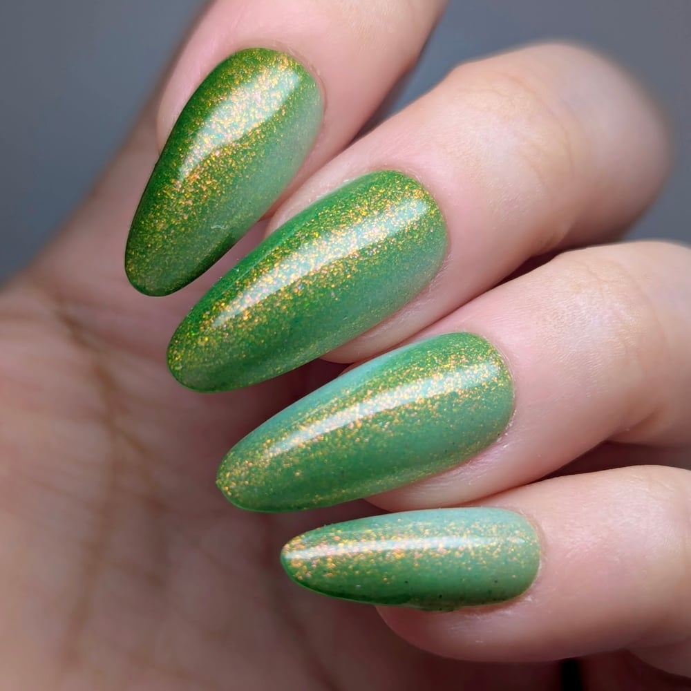 Image of The Cottage 