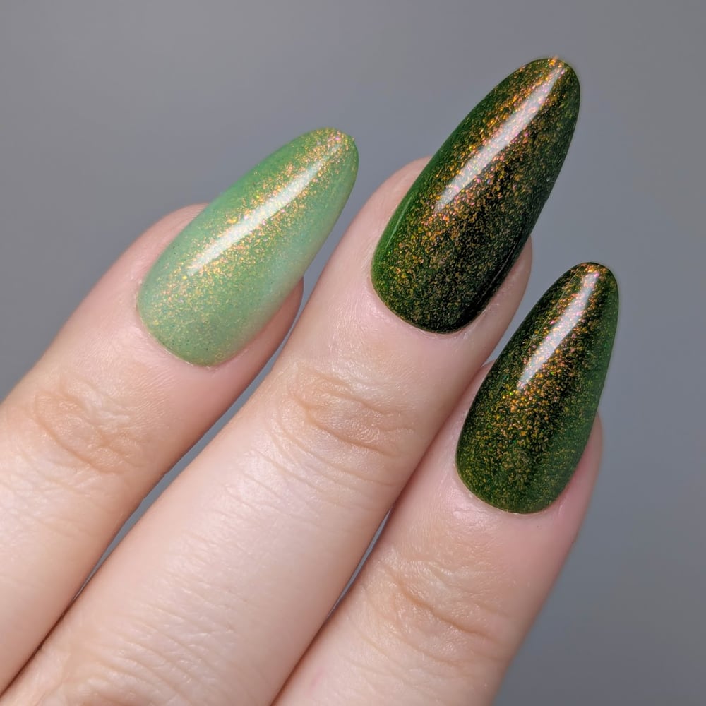 Image of The Cottage 