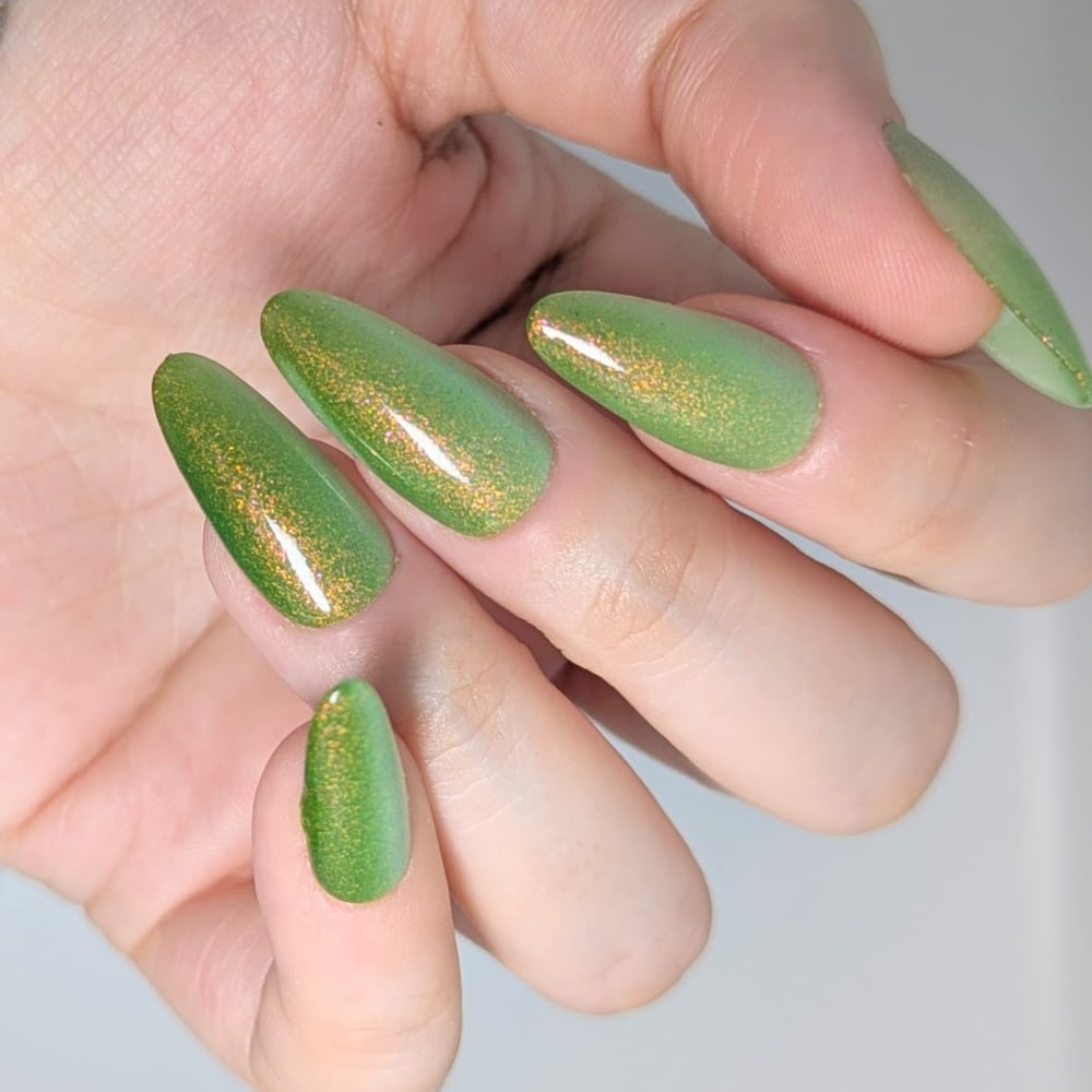 Image of The Cottage 