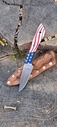 Image 2 of MS Hunter 001