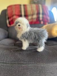 Image 4 of 9” Old English Sheepdog