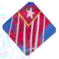 Image 4 of The Bandera PR