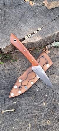 Image 2 of MS Hunter 003