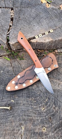 Image 2 of MS Hunter 004