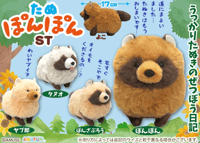 Tanuponpon タヌポンポン 