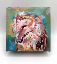 Image 1 of Sided – 4x4" barn owl painting