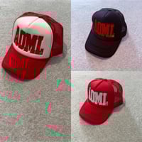 Image 2 of The "R E S V" 