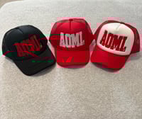 Image 3 of The "R E S V" 