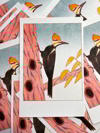 Woodpecker Risograph