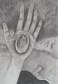 Paua (2026), Graphite on paper, A5