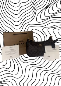 Coach/Women Bag Supplier