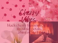 Image 3 of Cherry Vibes Whipped Soap & Shave Butter