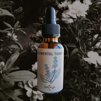 Image 1 of Catnip Tincture