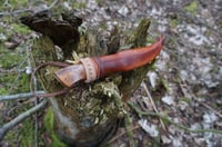 Image 13 of Puukko knife - Stainless steel, Alder Wood Handle