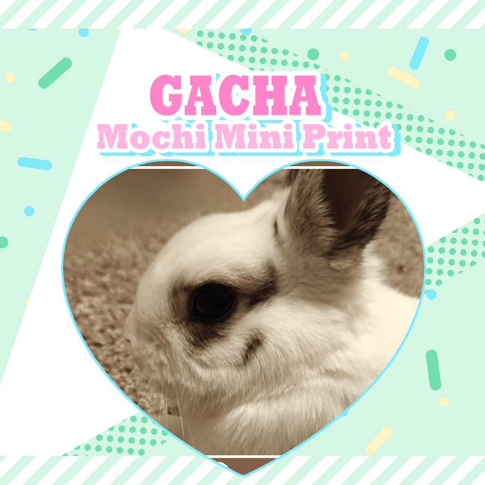 Image of Mochi Mini Print Gacha
