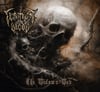 EP The Widows Web