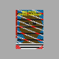 Image 1 of [FIDÈLE EDITIONS™] BIG POOL (CHRIS HARNAN™)