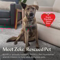 Image 3 of BISSELL Little Green HydroSteam Multi-Purpose Portable Carpet and Upholstery Cleaner, Car and Aut...