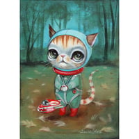 Image 3 of Cat Toys
