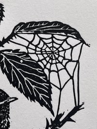 Image 4 of ‘Little Wren’