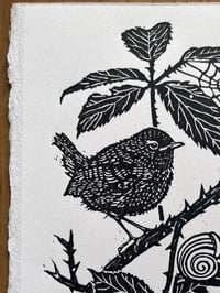 Image 2 of ‘Little Wren’