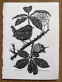 Image 1 of ‘Little Wren’