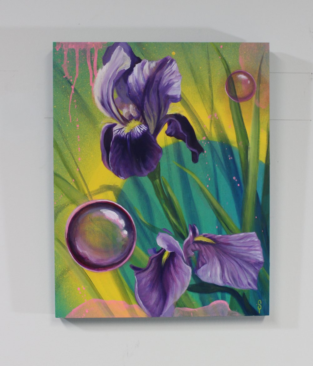 Image of Irises