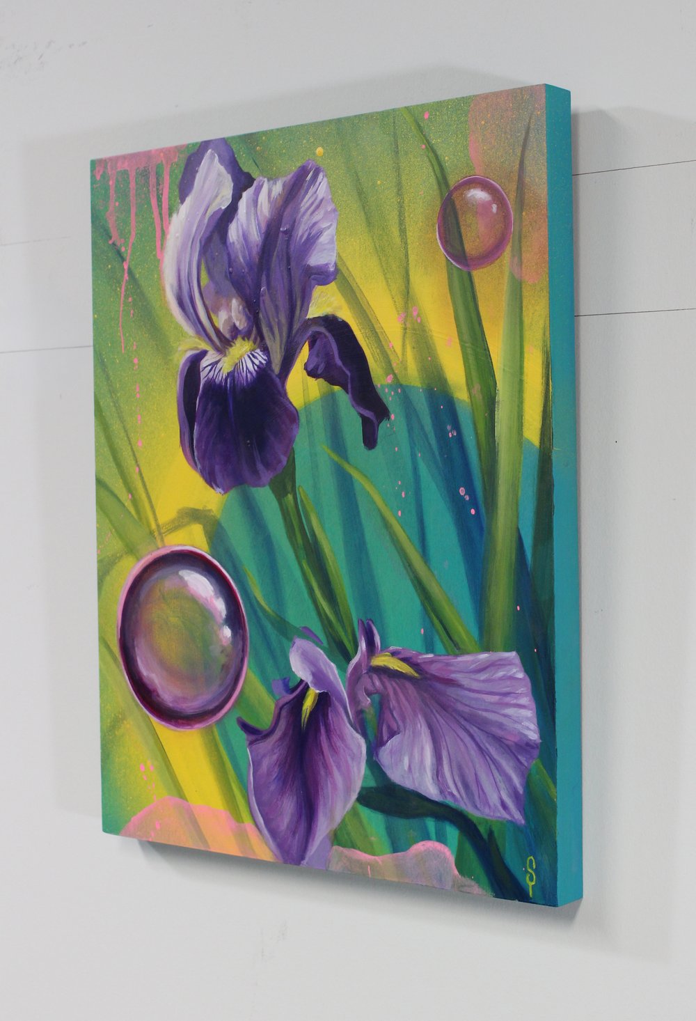 Image of Irises
