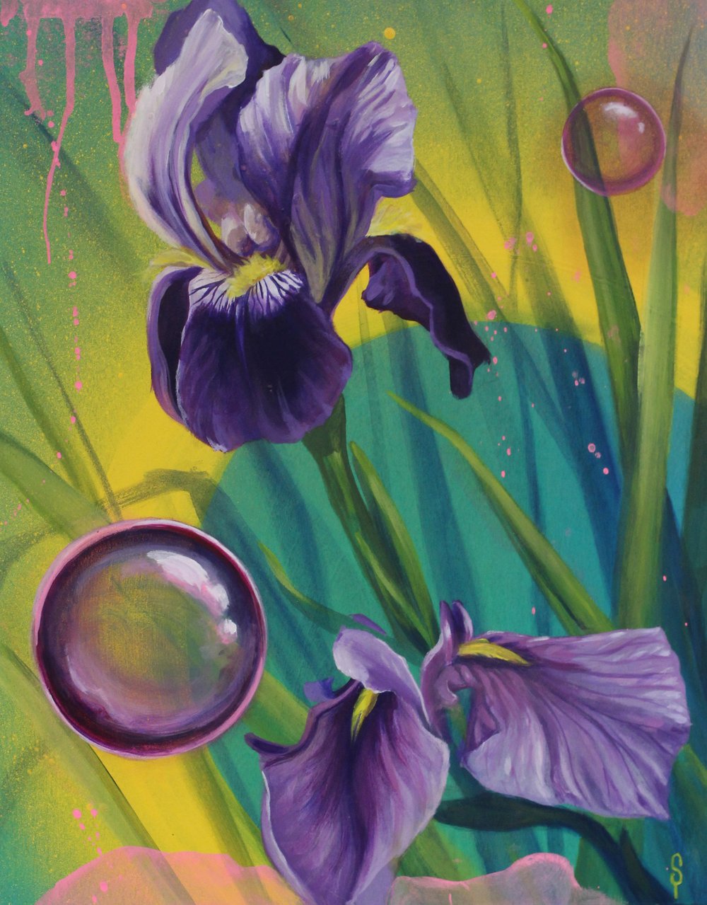 Image of Irises