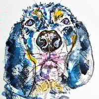 Image 2 of Mini Bespoke Pet Portrait (10x15cm)