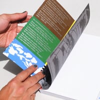 Image 11 of [FIDÈLE EDITIONS™] BIG POOL (CHRIS HARNAN™)