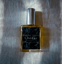 Image 2 of Lividus Extrait de Parfum — Small Batch — Old Books. Dry Dust. Aged Woods. Musk.