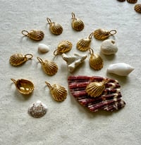 Image 3 of Petit trésor 