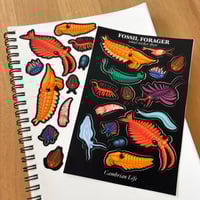 Image 1 of Cambrian Life Sticker Sheet