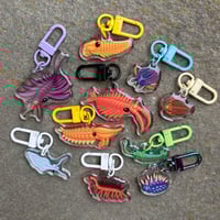 Image 1 of Mystery Mini Cambrian Acrylic Keychain