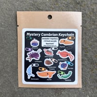 Image 2 of Mystery Mini Cambrian Acrylic Keychain