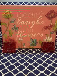 Turmeric/Honey/vanilla 