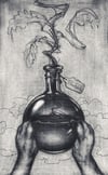 'Rhubarb' Original Drawing - HERETIC Parfum Rhubarb Collection