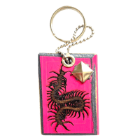 Image 1 of  skull and centipede keychain 