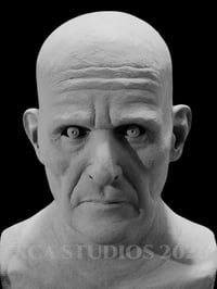 Image 1 of Damien Karras The Exorcist 3 Display Bust 