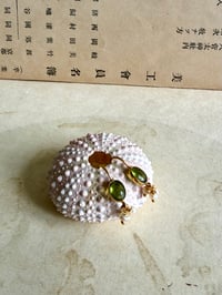 Image 1 of B.O BHOTIS 5 