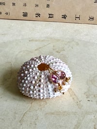 Image 2 of B.O BHOTIS 7 